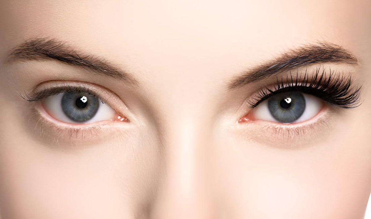 Magnetic Lashes